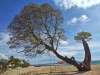 lokasi dan harga tiket masuk pantai alau alau kalianda lampung selatan