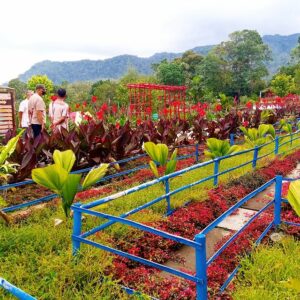 20 Tempat Wisata di Bandar Lampung Yang Lagi Hits 2024